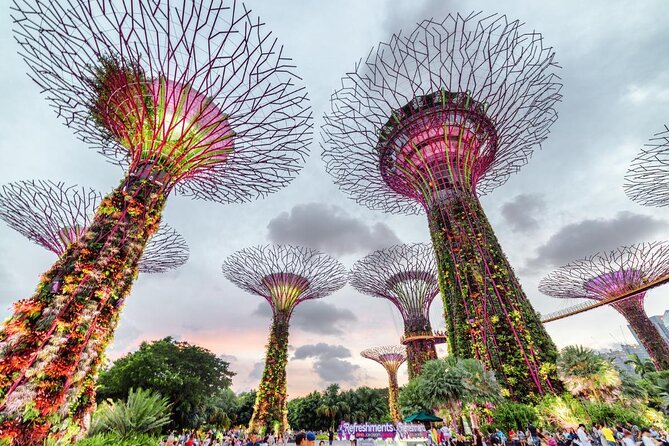 Private Full Day Singapore Highlights Tour - Pickup and Accessibility