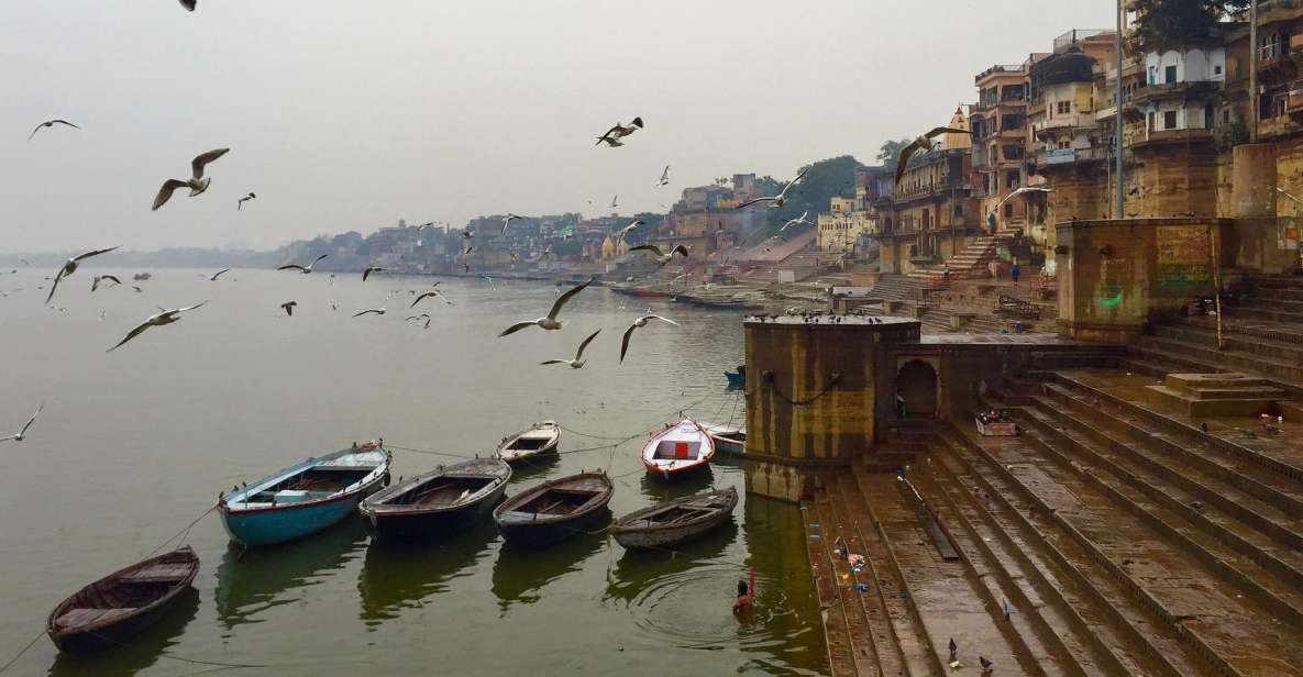 Private Full-Day Varanasi Tour & Monkey Temple - Exploring Varanasis Temples