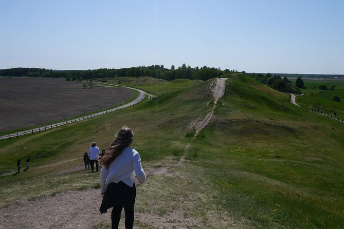 Private Full Day Viking History Tour From Stockholm Including Sigtuna and Uppsala - Itinerary Details