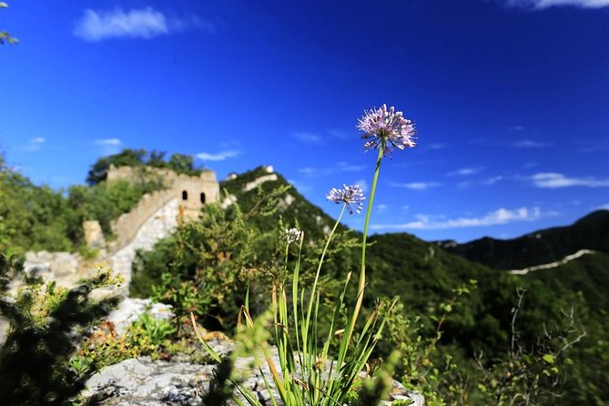 Private Great Wall Hiking From Jiankou to Mutianyu - Highlights of the Experience