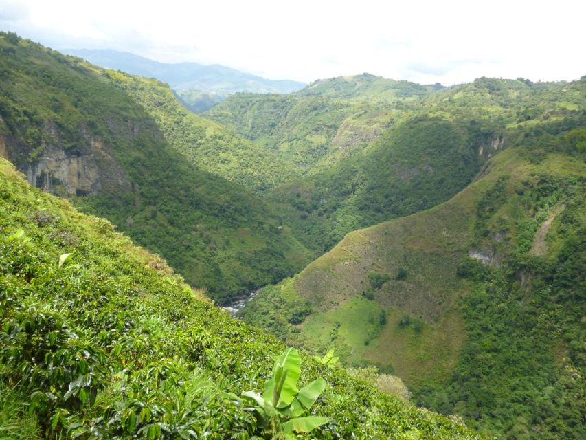 Private Guided Rafting on Magdalena River - Experience Highlights