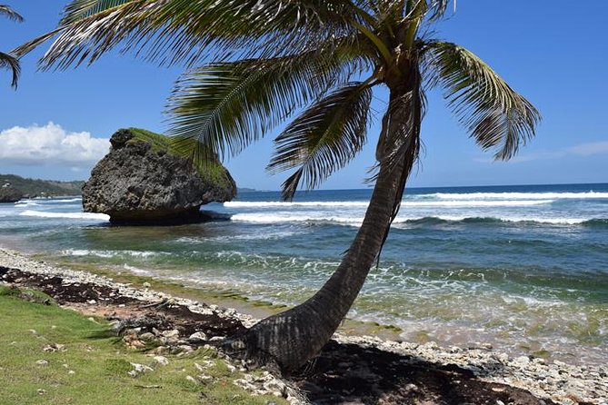 Private Half-Day Barbados Excursion With Entrance Fee Discounts - Exclusions to Consider