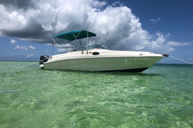 Private Half-Day Charter to Stingray City, Starfish Point and Snorkeling Tour - Schedule and Accessibility