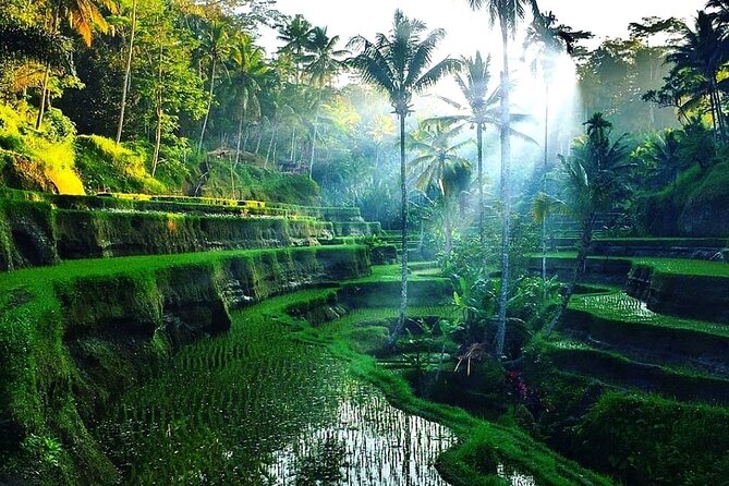 Private Half Day Heritage and Cultural Ubud Tour - All Inclusive - Tour Description