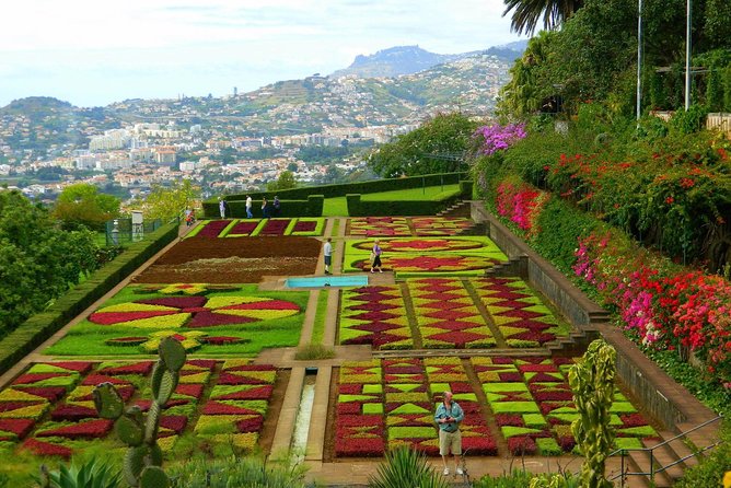 Private Half Day Madeira Tour (Mercedes Viano/Vito) - Meeting and Pickup