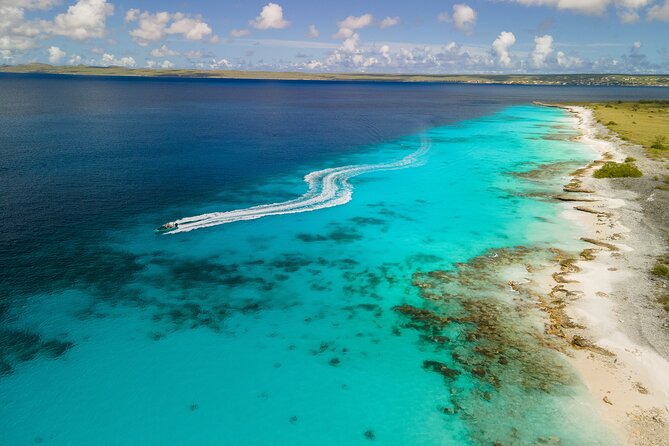 Private Half Day REVOLVE Boat Tour in Bonaire - Pricing and Booking Details