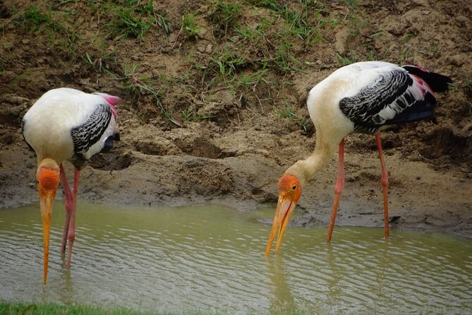 Private Half Day Safari Jeep Tour in Udawalawa National Park - Booking Process and Policies