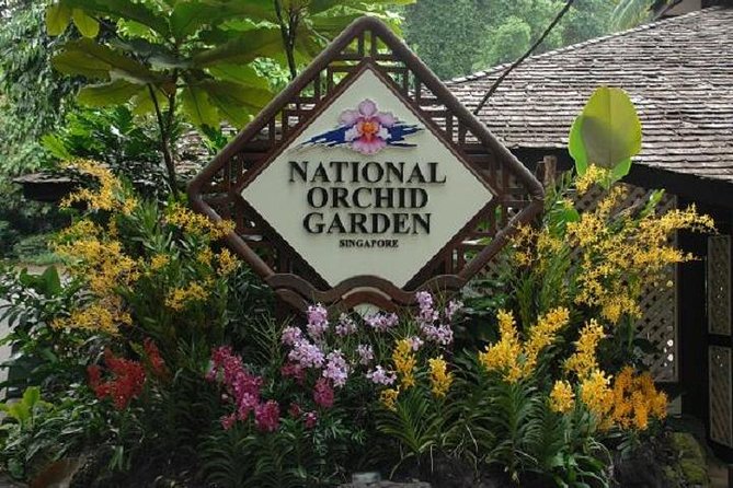 Private Half Day Singapore City Tour With Botanical Orchid Garden - Transportation and Admission