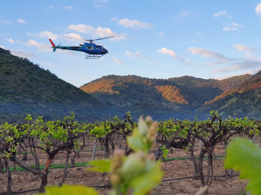 Private Helicopter Flight to Winery With Sparkling Wine - Wine Tasting Experience