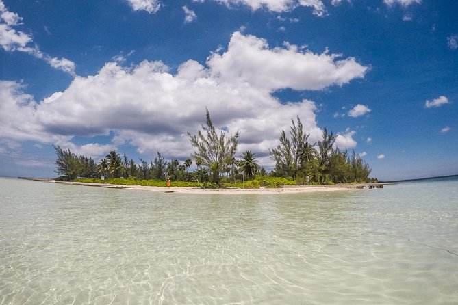 Private, Luxury, Custom Charters to Stingray City, Snorkeling & More - Boat Features and Capacity