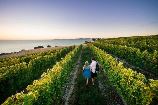 Private Marlborough Winery Tour - Preparation and Recommendations