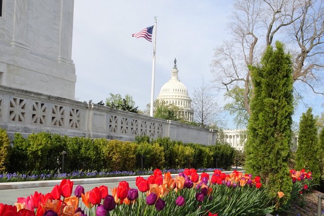 Private Multilingual DC City Tour (Spanish, Portuguese, English) - Personalized Tour Experience