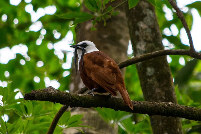 Private Natural History Walk by Pasión Costa Rica - Meeting and Pickup Details