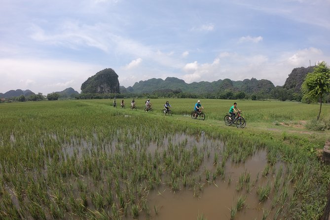 Private Ninh Binh - Mua Cave - Trang An - Bich Dong Full Day Tour - Tour Details