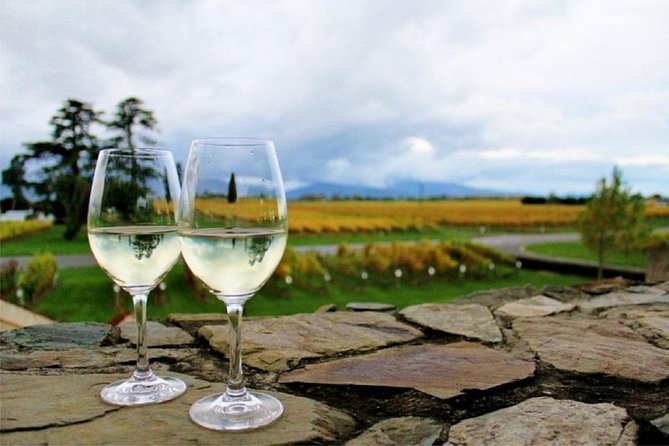 Private Onshore Cruise Tour. Explore Wine & Delights From Picton 1-5 Seats - Inclusions and Amenities