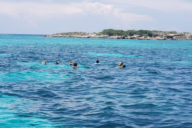 Private Rose Island Tour Snorkeling Fishing Swimming With Pigs - Customer Reviews and Ratings
