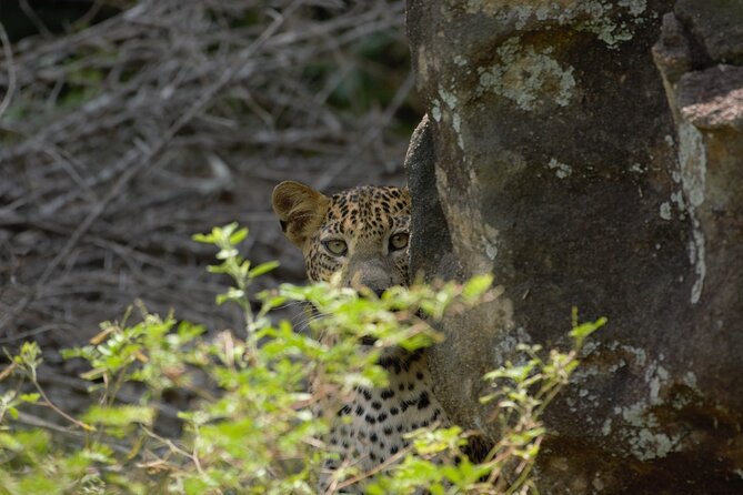 Private Safari in Yala National Park Morning or Evening - Exclusions to Consider
