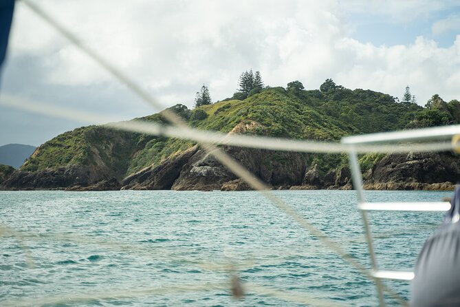 Private Sailing Charter | Bay of Islands | 11-15 People - Included Activities