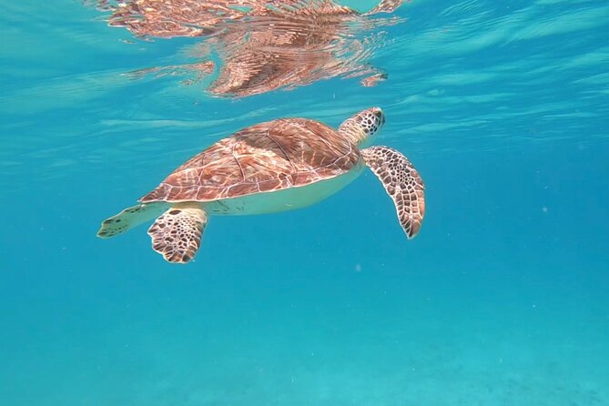Private Sailing & Snorkeling Tour With Bar & Food in Fajardo, PR - Customer Experiences