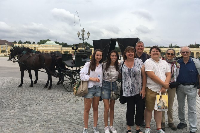 Private Schönbrunn Palace and Gardens Tour - Meeting Details