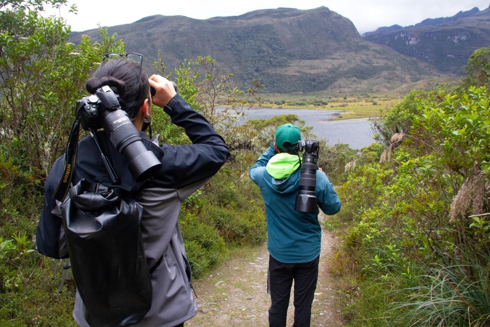 Private Sight Tour Chingaza Paramo From Bogota, Andean Bear - Itinerary Details