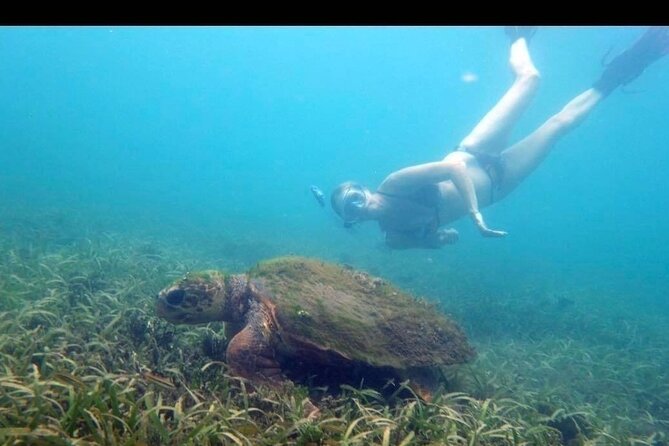Private Snorkeling and Sightseeing Tour of Antigua - Meeting and Pickup Information