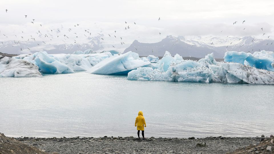 Private South: Glacier Lagoon, Diamond Beach & Waterfalls - Waterfalls to Explore