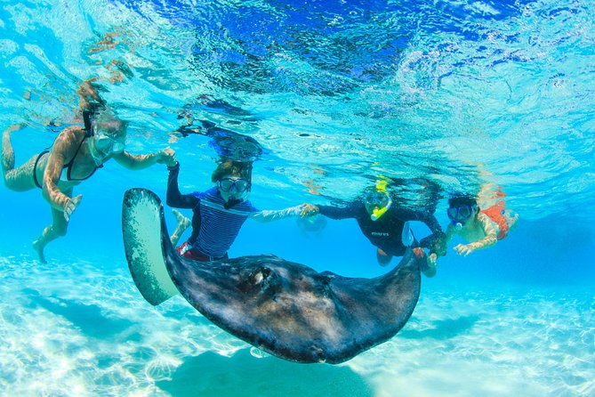 Private Stingray City and Snorkeling Half Day Charter for 6 Guest - Meeting Point and Transportation