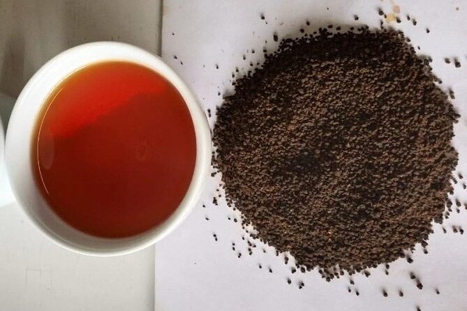 Private Tea Tour and Tea Factory - Tea Factory Exploration