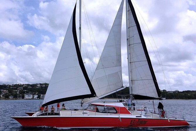 Private Tour: Barbados Catamaran Snorkeling Cruise - Important Tour Details