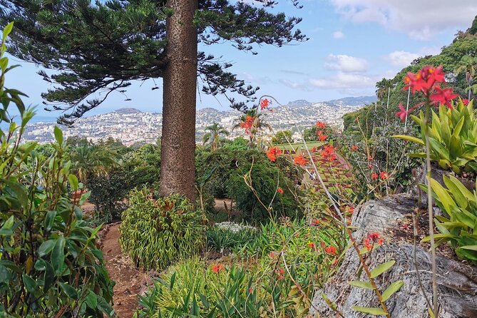 Private Tour Cable Car Toboggan Tropical Garden and Skywalk - Pricing and Booking Information