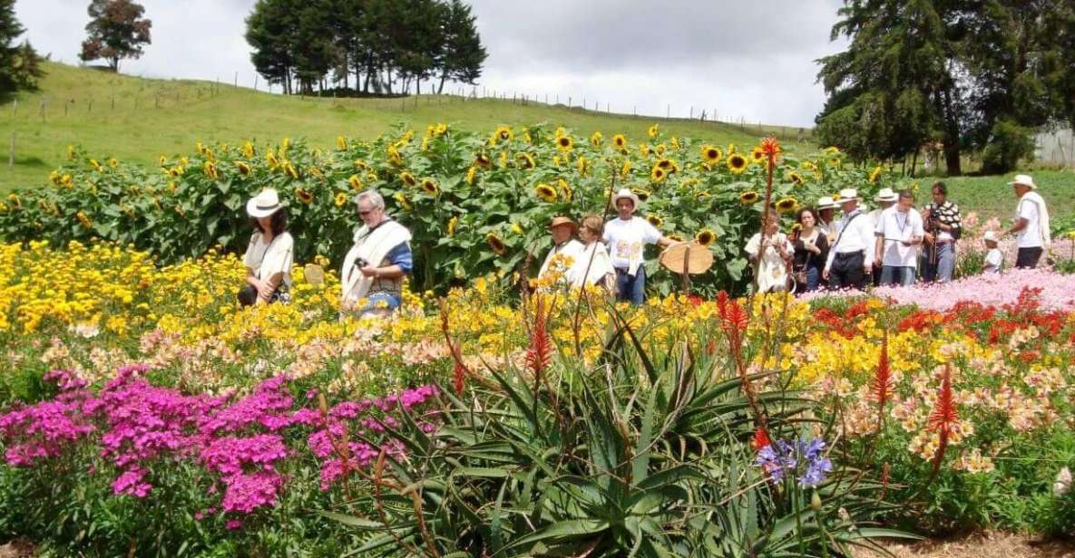 Private Tour Heart Flower FairAdventure ParkSilletas Farm - Exploring Santa Elena