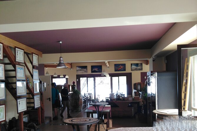 Private Tour of Mount Etna With Etna Doc Wine Tasting - Unique Tour Experience