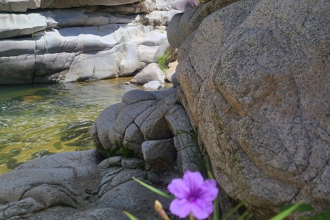 Private Tour of the White Canyon Ancestral Route in Utuado - What to Expect on the Tour
