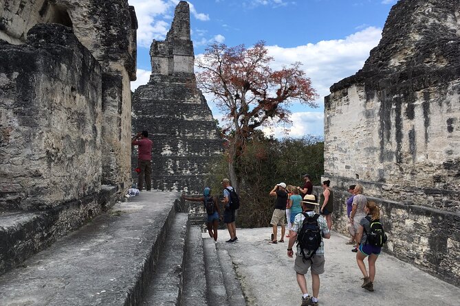 Private Tour of Tikal From Belize Western Border - Tour Experience Highlights
