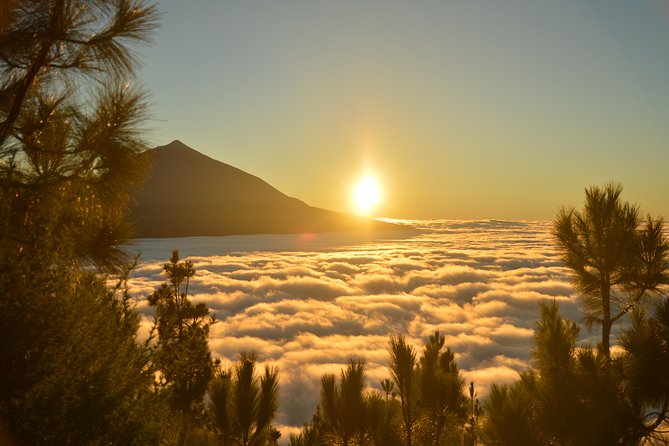 PRIVATE TOUR Teide National Park: Hiking and Stargazing - Health and Safety Considerations