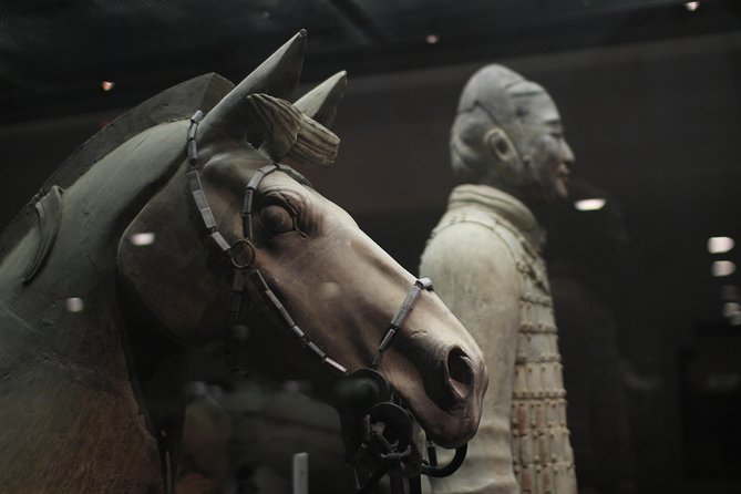 Private Tour: Terracotta Warriors& Foodie Tour and Seal Carving - Unique Foodie Experience