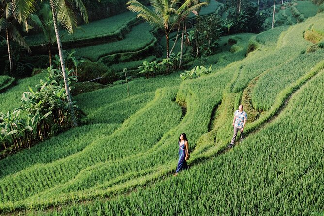 Private Tour Top Sights of Bali in One Day - Local Coffee Farm