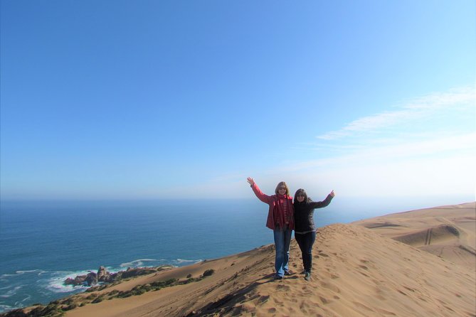 Private Tour: Valparaiso and Vina Del Mar From Santiago - Tour Inclusions and Exclusions
