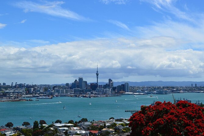 Private Transfer From Auckland Airport To Rotorua - Vehicle Features and Comfort