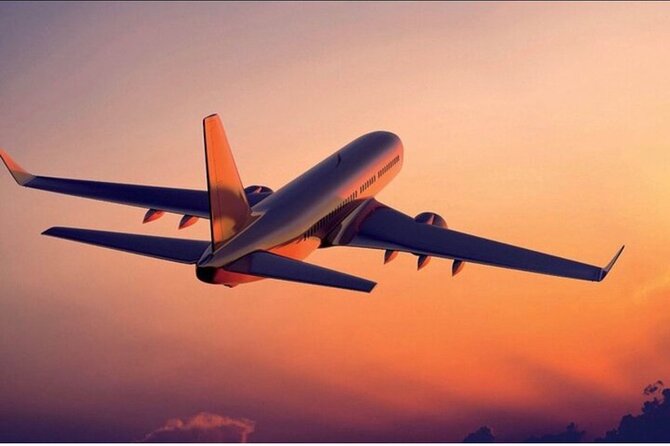 Private Transfer From Barcelona Airport to City - Accessibility Options