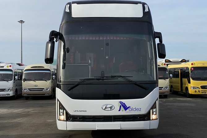 Private Transfer From or to Punta Cana Airport to Hotels in Bávaro - Why Choose Private Transfers
