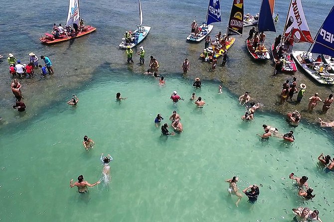 Private Transfer From Recife Airport to Porto De Galinhas - Customer Reviews and Experiences