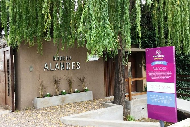 Private Transfer Vineyards Lujan De Cuyo / Maipu - Customer Reviews and Feedback