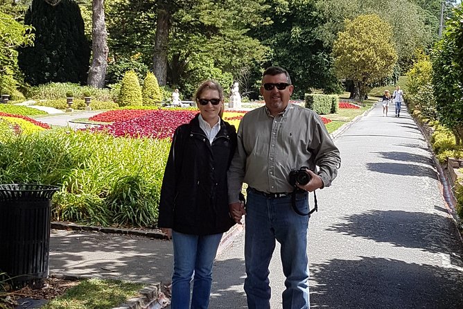 Private Wellington Full Day Sightseeing Tour - Customer Reviews and Feedback