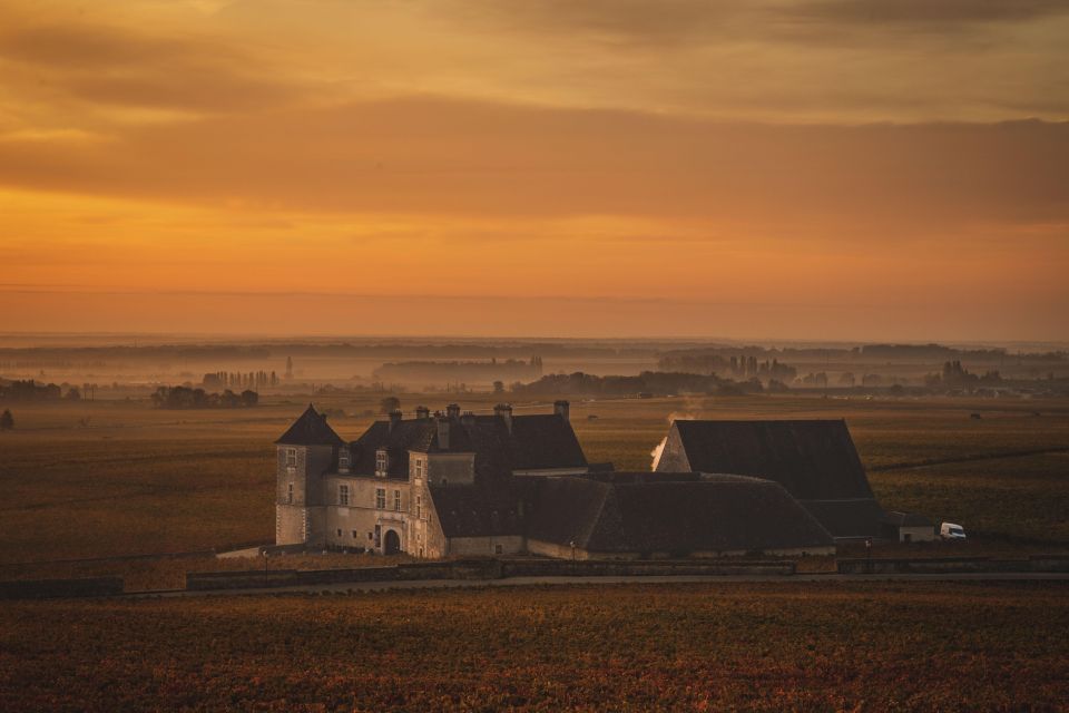 Private Wine Tour in Côte De Nuits and Côte De Beaune - Guided Tour Features