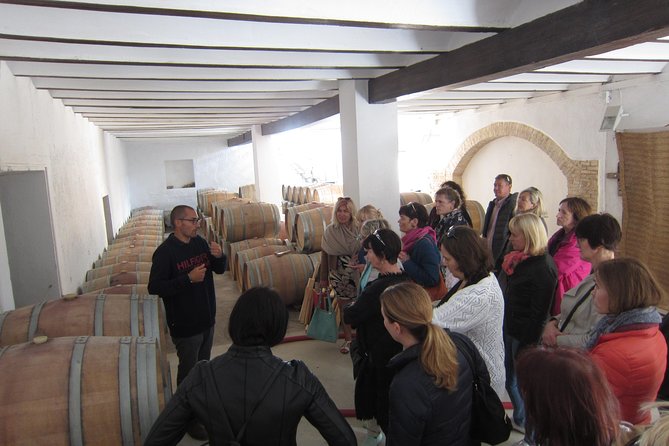 Private Wine Tour With Wine Tasting and Full Lunch - Visits to Local Vineyards