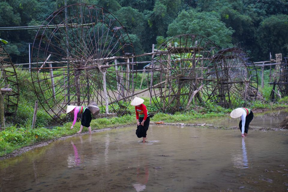 Pu Luong 2 Days 1 Night - Trekking, Cloud Hunting - Included Services