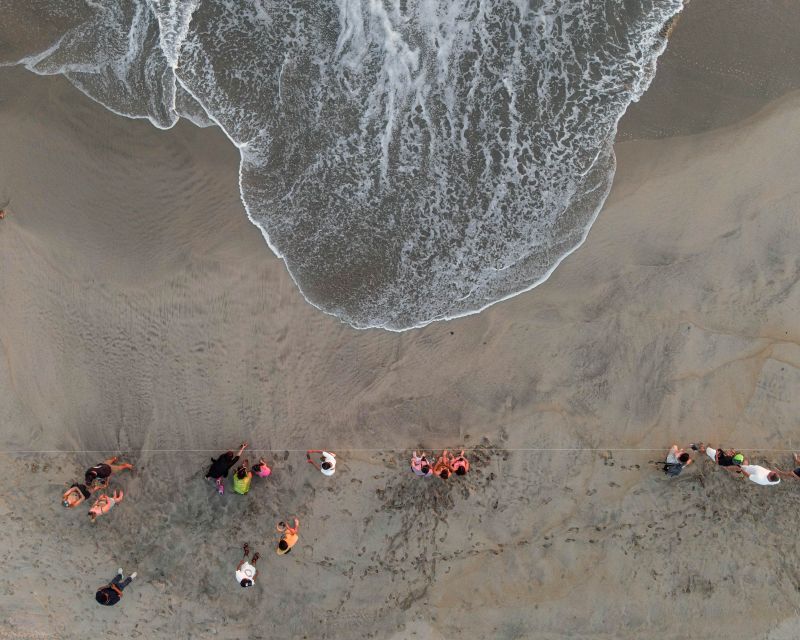 Puerto Escondido: Baby Sea Turtle Release - Inclusions and What to Expect