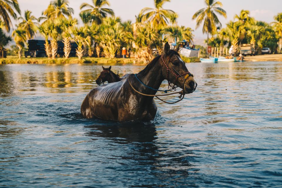 Puerto Escondido: Sunset Horse Ride - Crossing the Manialtepec River